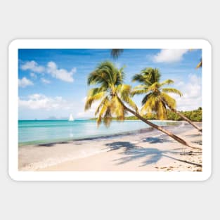 Famous Les Salines Beach In Martinique Sticker